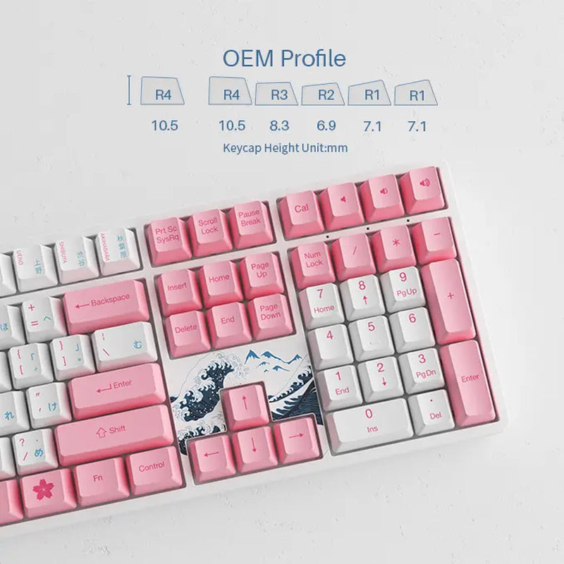 Akko World Tour Tokyo 108-Key R2 5108S Wired Mechanical Gaming Keyboard, Programmable with OEM Profiled PBT Dye-Sub Keycaps and N-Key Rollover, Mac/Win Compatible