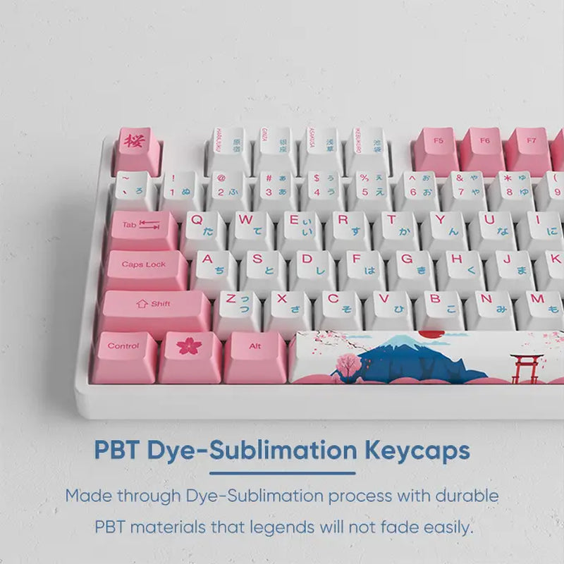 Akko World Tour Tokyo 108-Key R2 5108S Wired Mechanical Gaming Keyboard, Programmable with OEM Profiled PBT Dye-Sub Keycaps and N-Key Rollover, Mac/Win Compatible